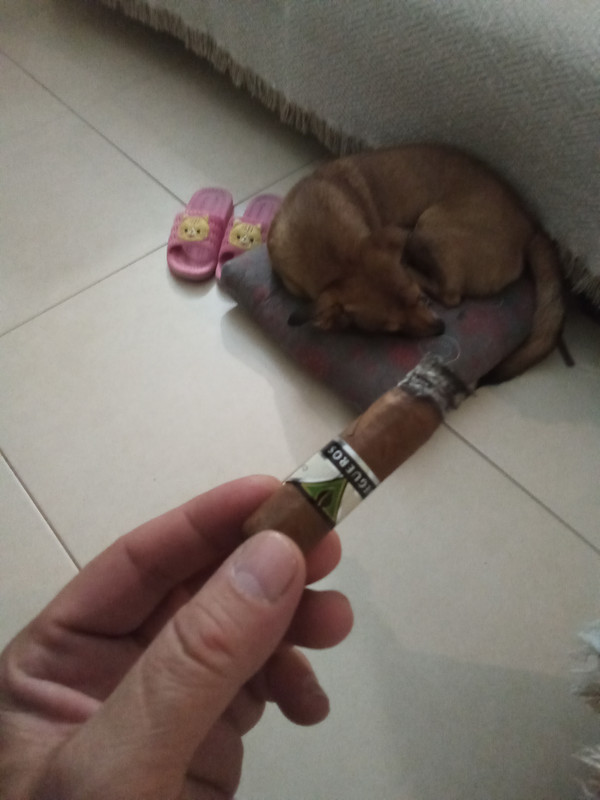 IMG_20210929_224758_227