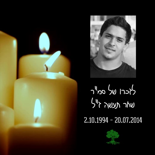 תמונה