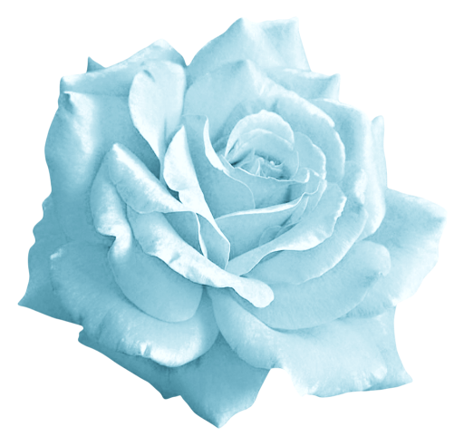 WINTER LOVE_DBJ-ELEM (16)