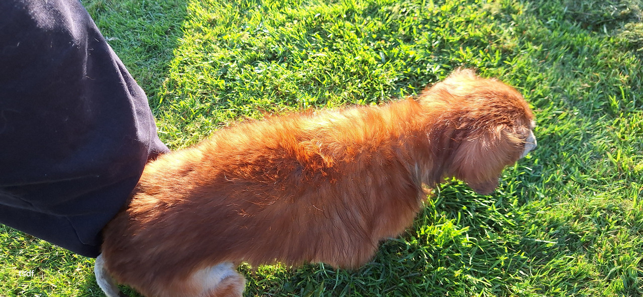 [Image: 20250331-190715.jpg]