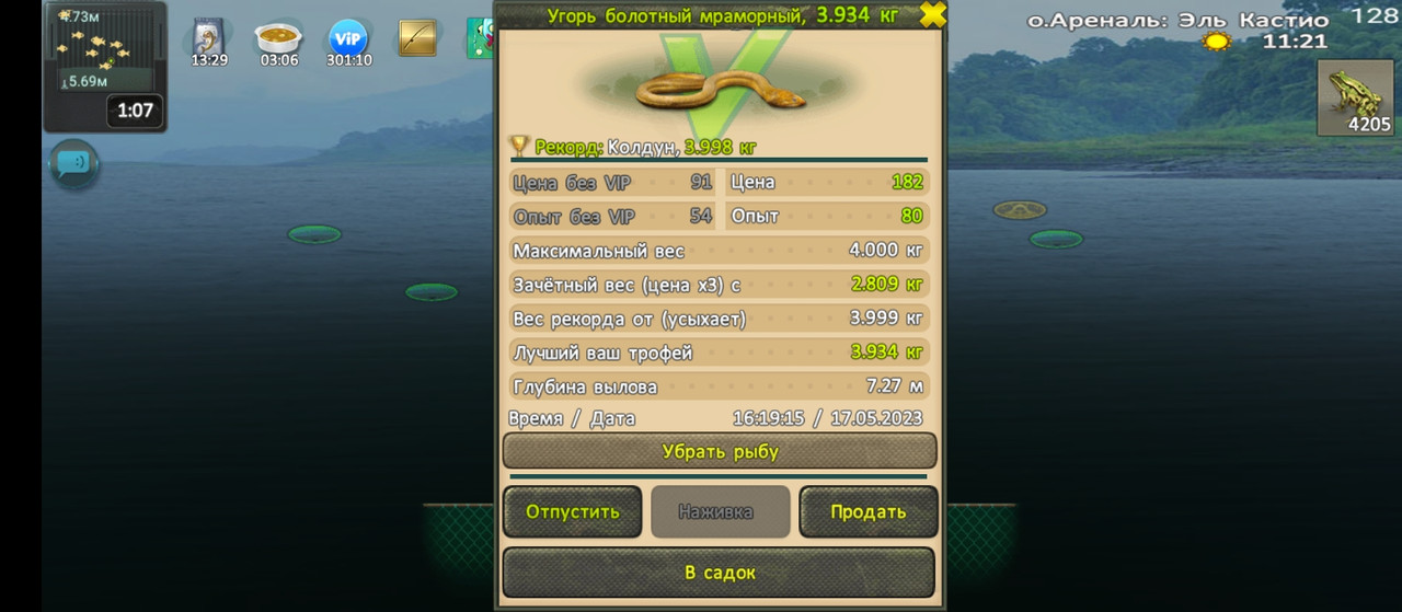 Угорь болотный мраморный - Охотник на ведьм