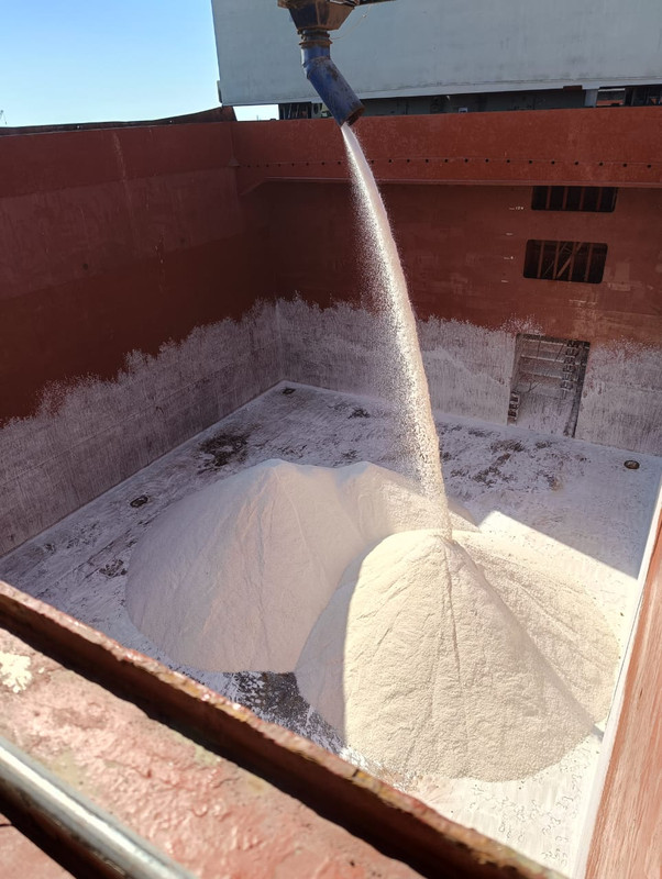 Salt Products
