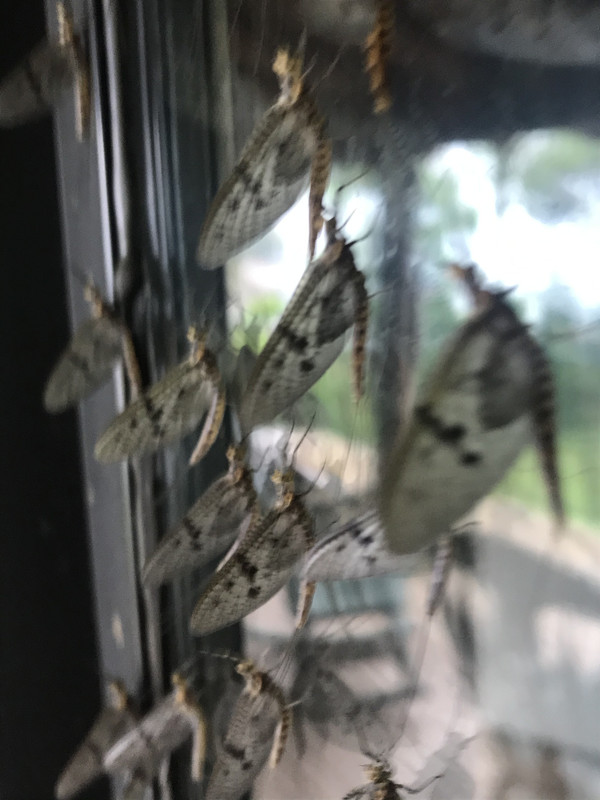 7DDC0828-A618-46D9-894A-FFD1407F55CD