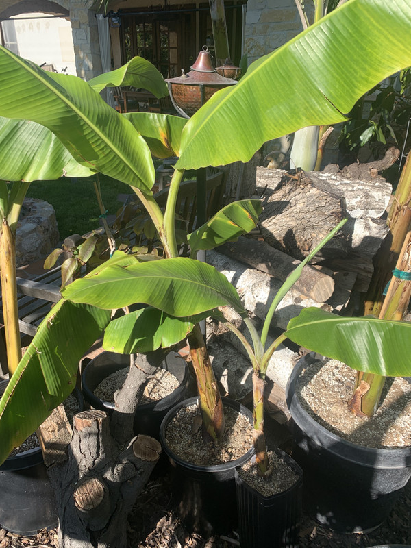 51E7F379-655A-4CF3-B05C-2698C526A7F1