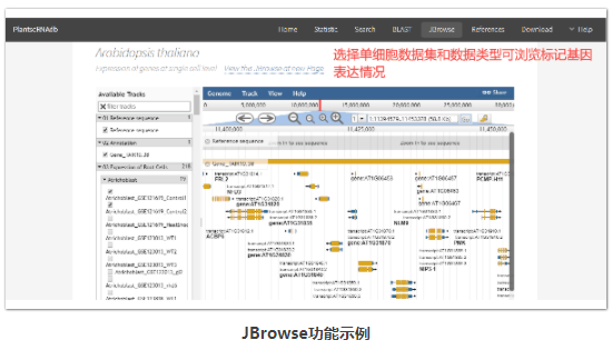 植物单细胞RNA分析数据库-5.png