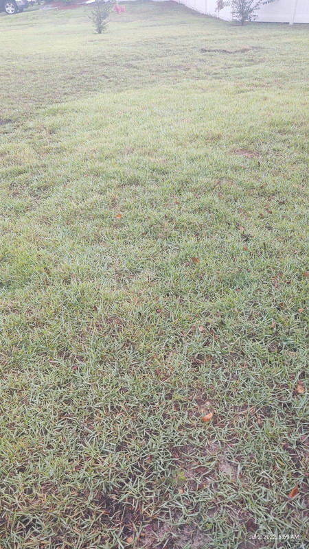 IMG_20220702_065908988