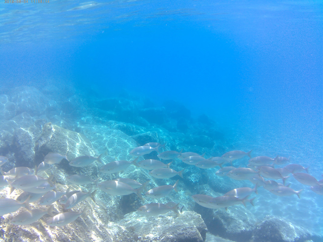 20190604_115814A — копия