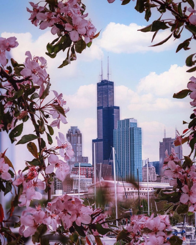 277586664-5130610837052317-4163008774291243055-n