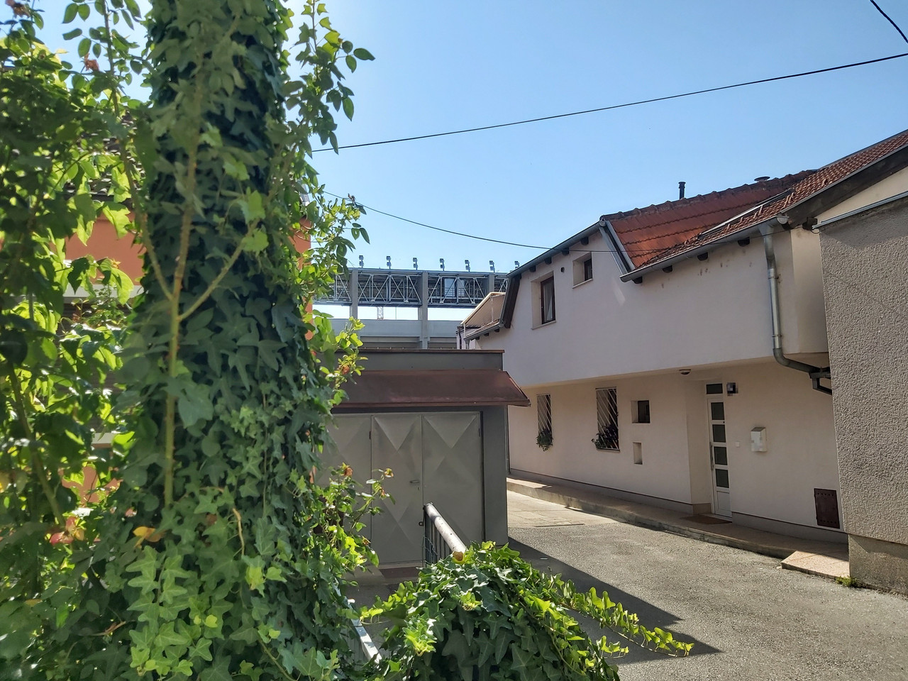 brozova-20260810-13.jpg