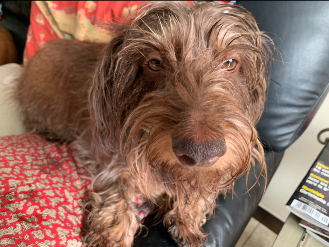 [Image: 67874-FBA-A429-4864-A4-B9-BA808-B482-DA3.png]