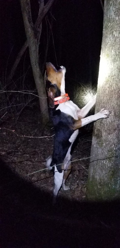 50AFBEC0-8090-42DE-8214-C3D9C02705D1