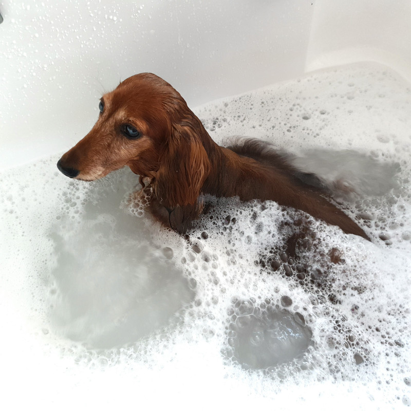 [Image: 20210921-104732.jpg]