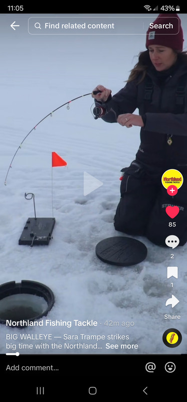 Screenshot_20240201_110558_TikTok