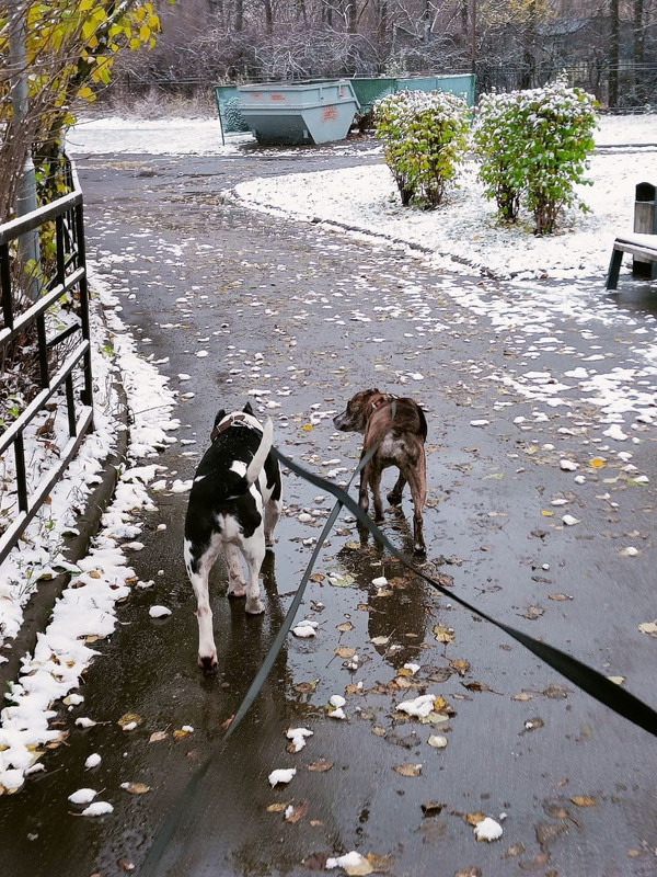 A20E8561-576E-4C43-8E47-DF1B75447E08