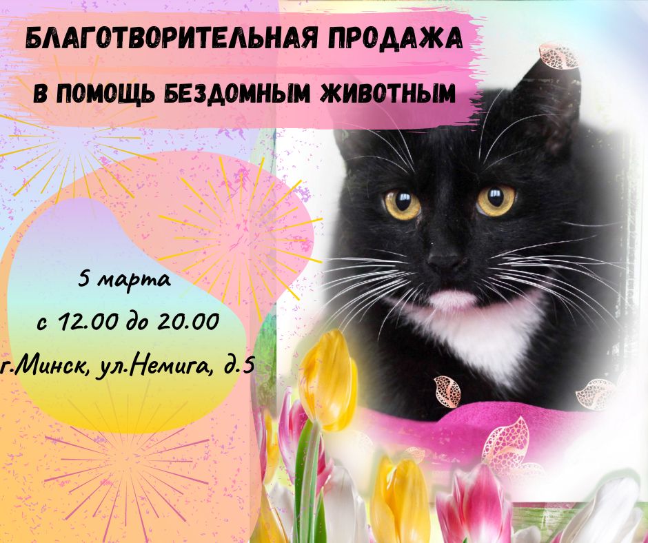 Благотворительная продажа (1)