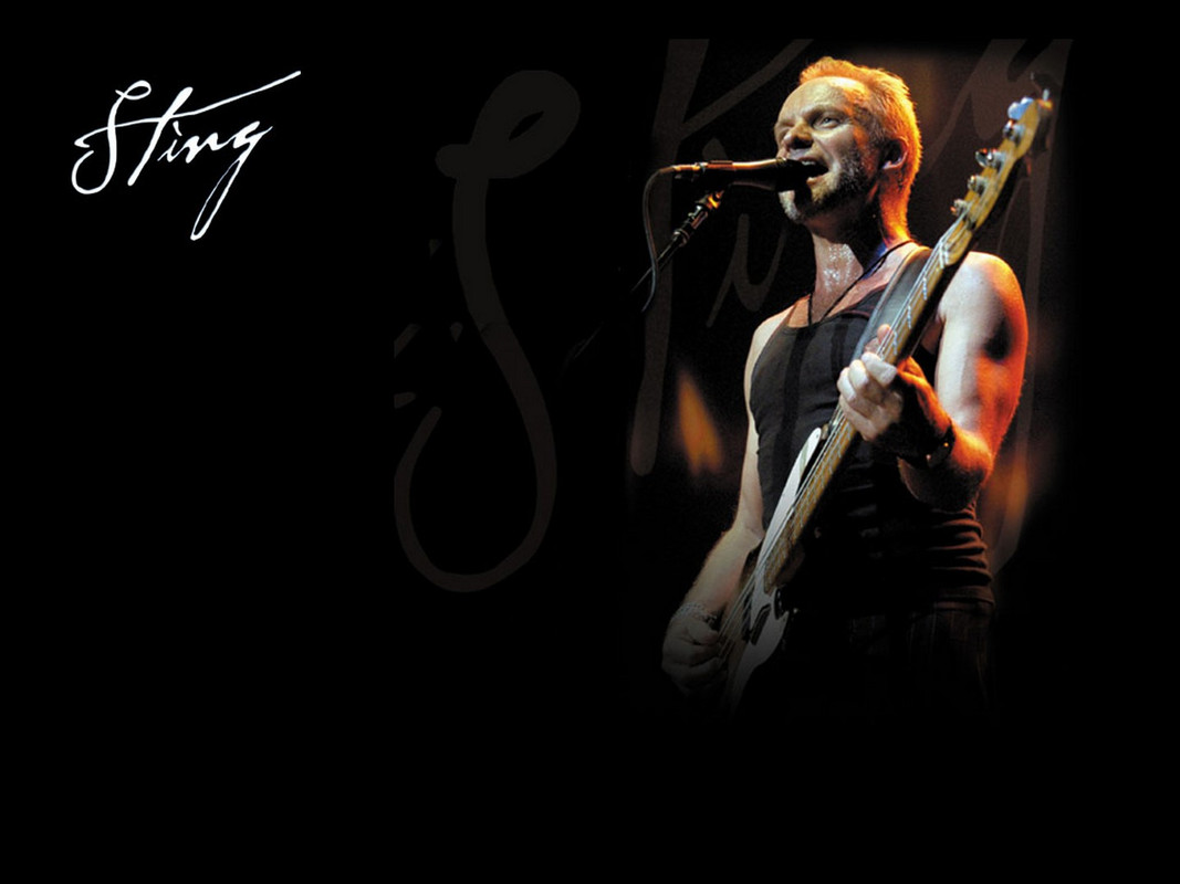 Sting-Singing-HD-Wallpaper