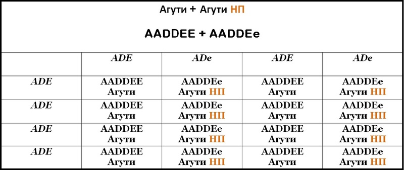Таблица 13