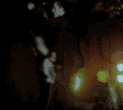 54017E2B A29D 458D 867A 485C779DBFA0