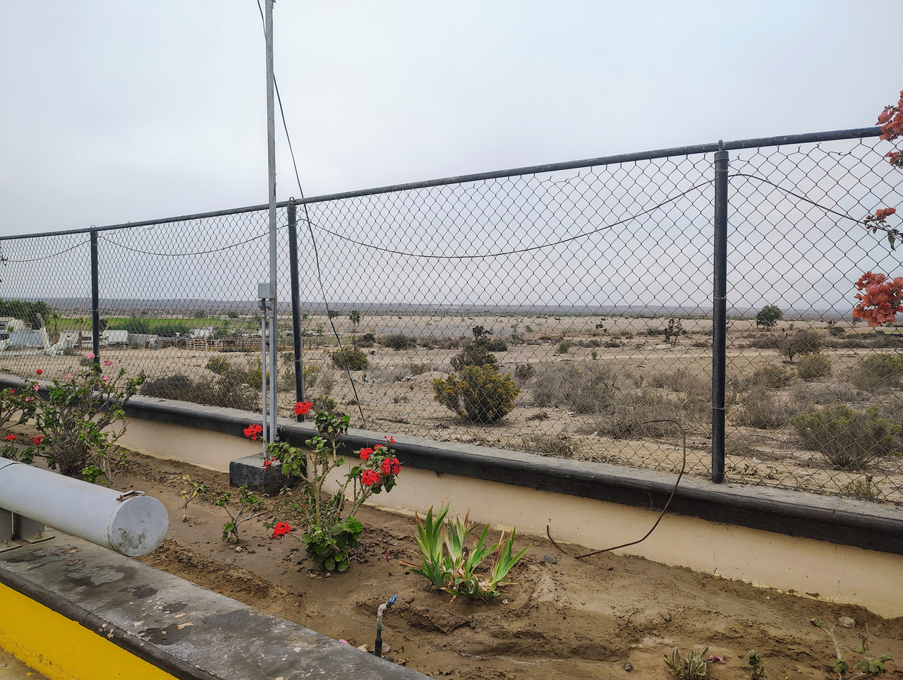 IMG 20251109 075439974 HDR AE