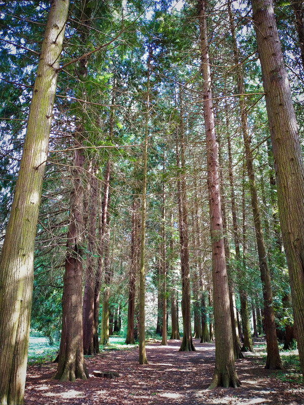 004 - IMG_20210430_202202