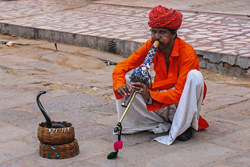 people-snake-charmer.jpg