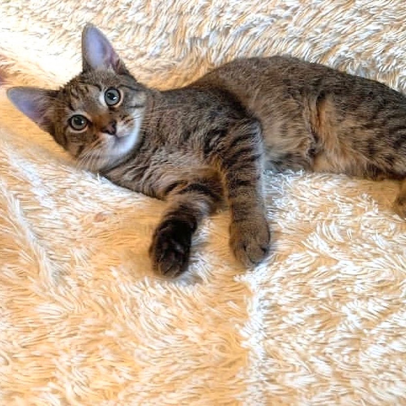 7ABA6793-50DD-4F3F-8F0F-DA2E5247A83C