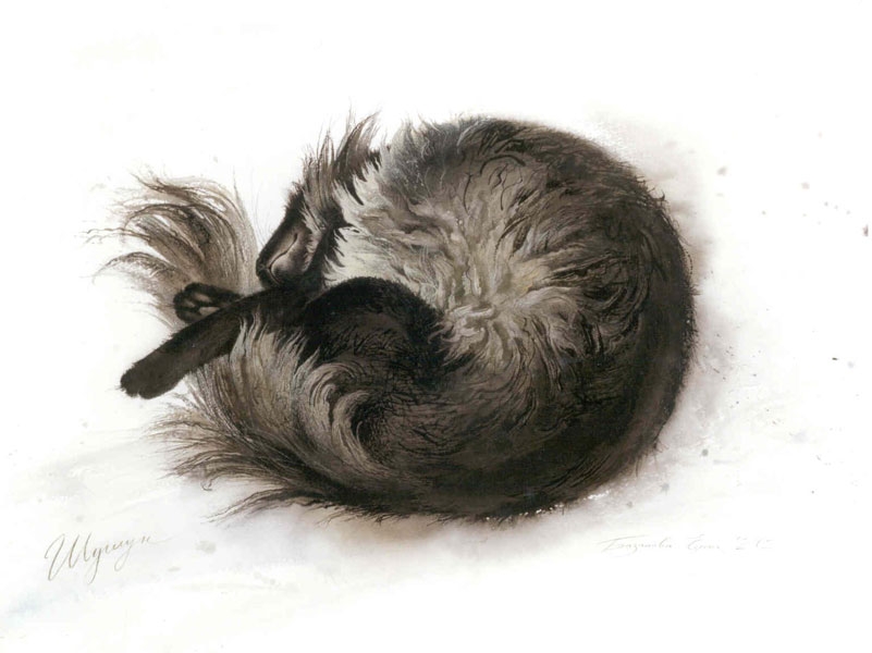 cat7