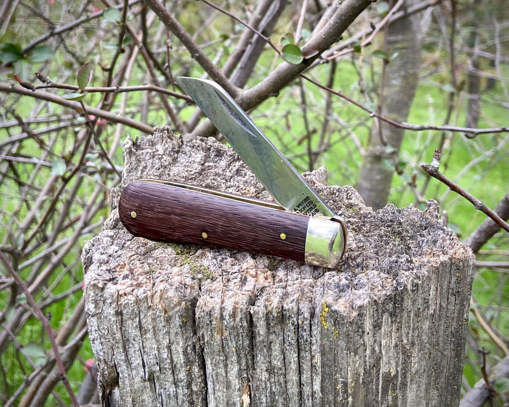 EDA3BBAB-00C4-4C6D-B554-C5AB7CBA7E75_1_201_a