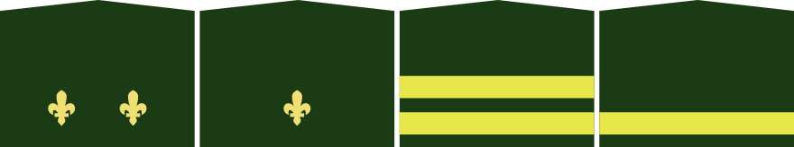 GRUD5