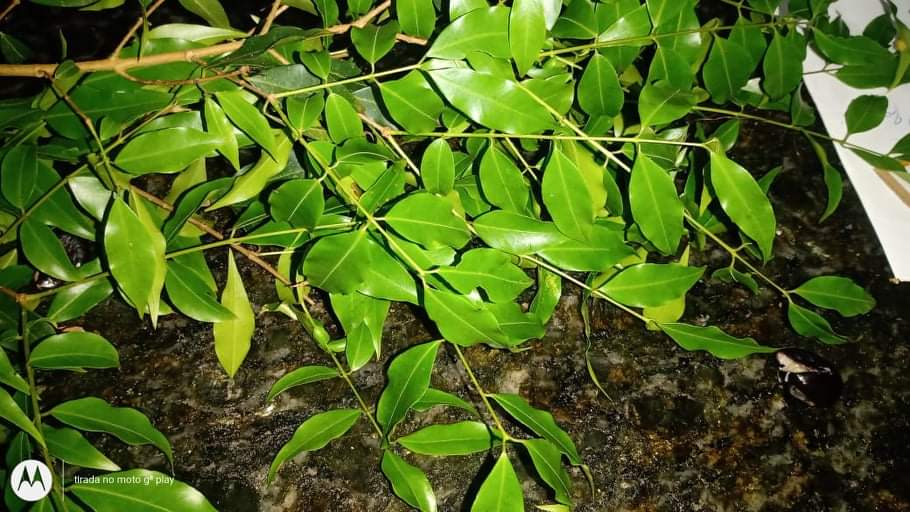 WhatsApp Image 2020-12-20 at 00.10.49 (60)