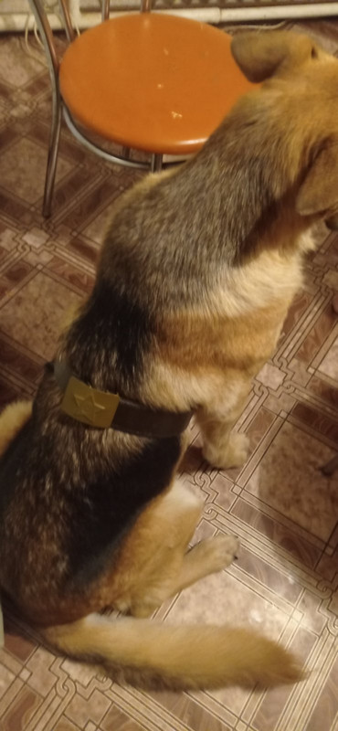 IMG-c13f0c48d22d622ab492dc5961bfaa5b-V