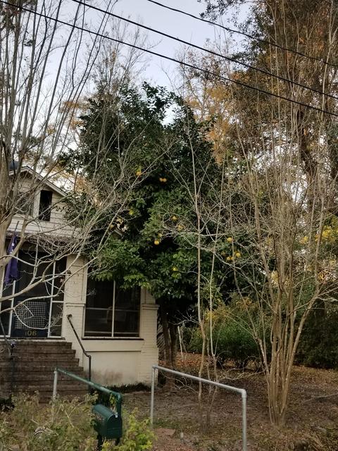 20171203_163646