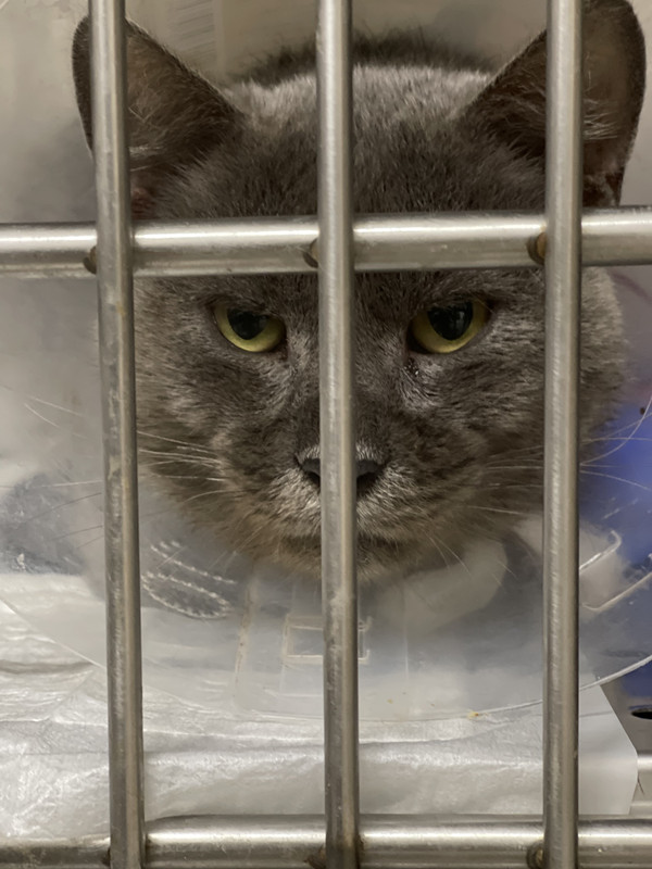 C4E94049-8F3D-43BA-9C43-74EEDF0A8DC1