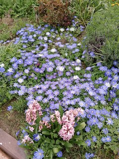 IMG_20240429_130710