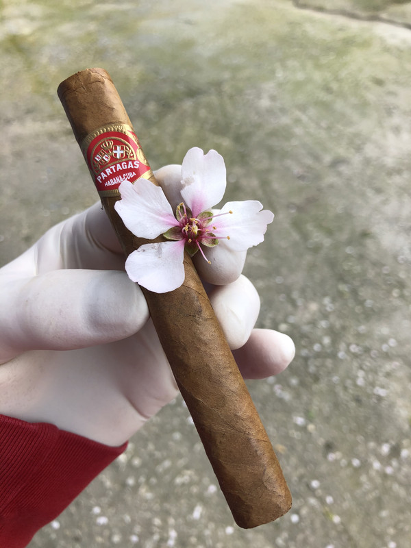 98683C31-7422-4D5A-BDF4-63A983087570