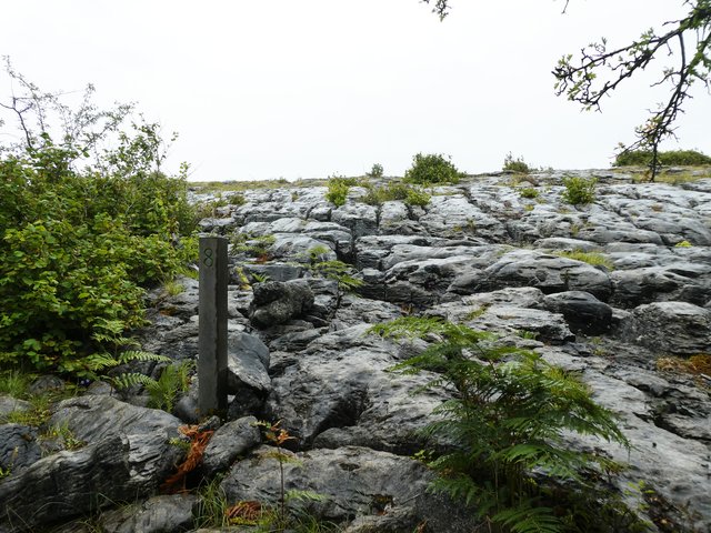 10 días por Irlanda en verano de 2024 - Blogs de Irlanda - DÍA 7 – Parque Nacional El Burren – Lisdoonvarna – Acantilados Moher (4)