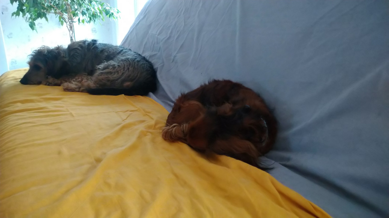 [Image: DSC-0661.jpg]