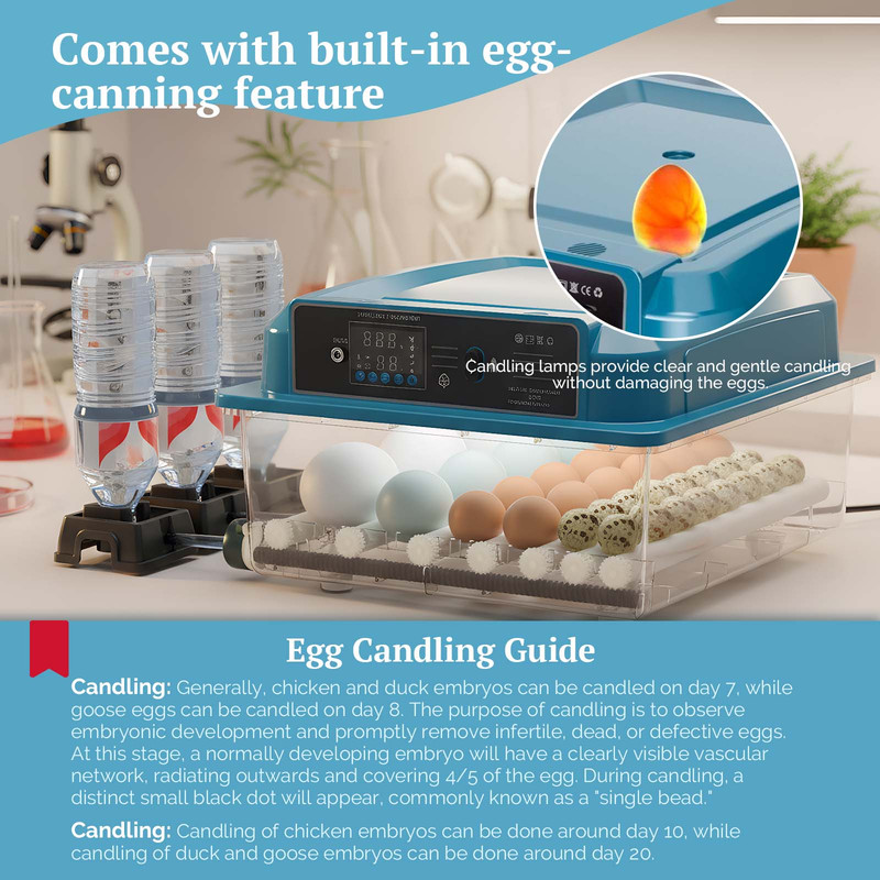 16/36 Eggs Incubator Clear For Poultry Hatching Machine Automatic Turning