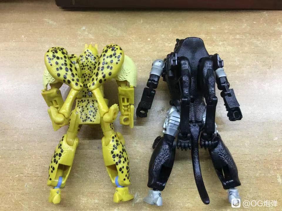 Transformers-War-For-Cybertron-Covert-Agent-Ravage-02