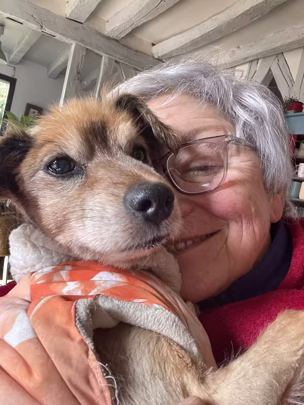 [Image: IMG-20250214-114653.avif]