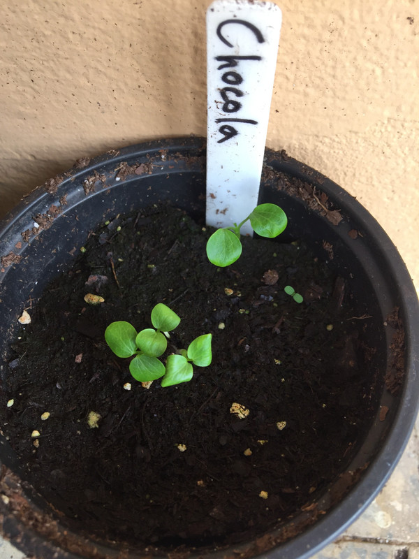 E00F98F0-D4D7-4DAB-9110-1294B25527B0