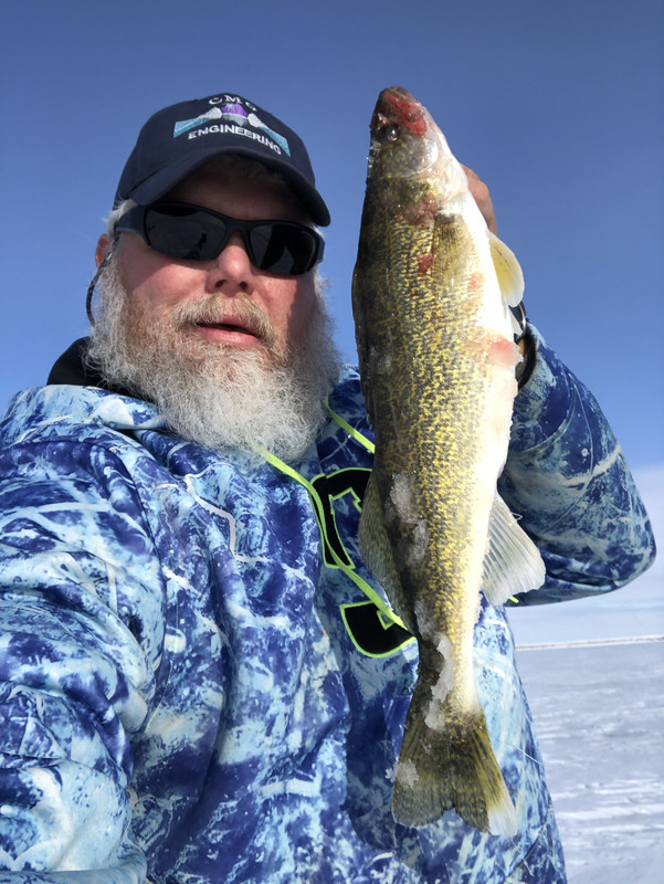 Good eater walleye