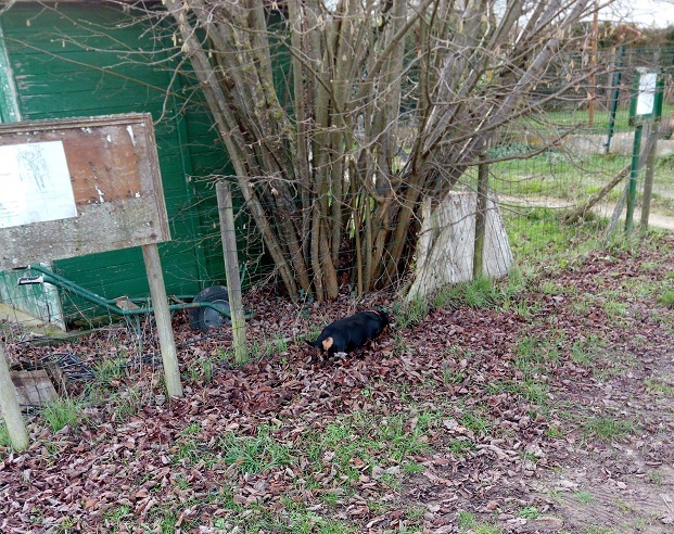 [Image: Balad12.jpg]