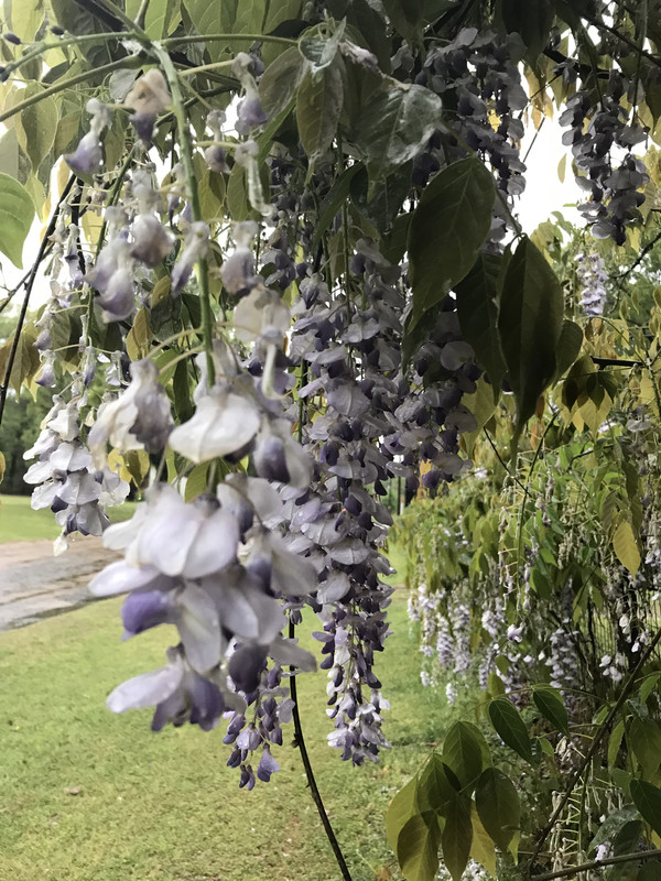 C7C32E11-6063-4633-8926-165F130D122F