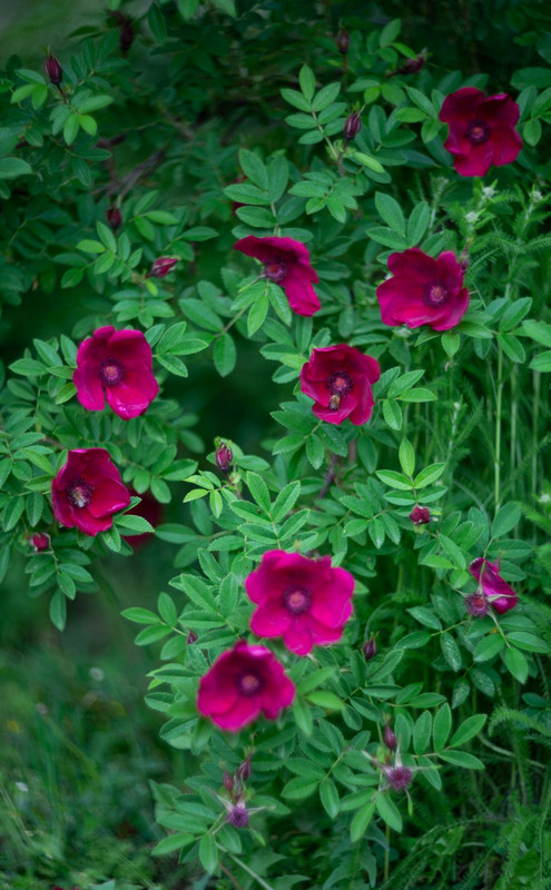 IMG-e559a628898dce86fe4b0c38d6b794aa-V