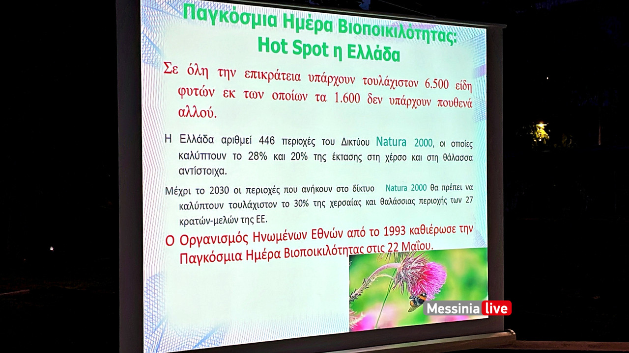 ΛΙΟΝΤΗΡΗΣimage00007