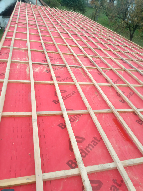 IMG_20251016_164819_261