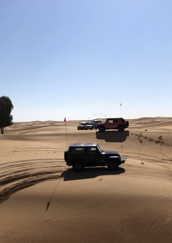 B5680F11-E42A-46FD-B3CD-F03B12268AF4