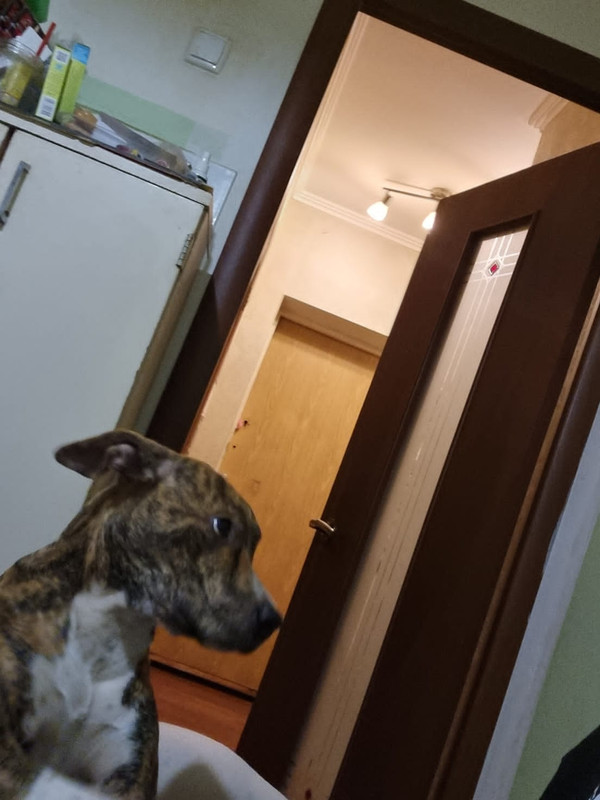 7602D246-8F72-4790-8BFB-C03E852744DC