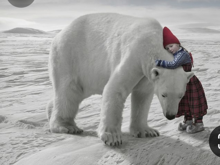 Screenshot_20231205_180256_Pinterest